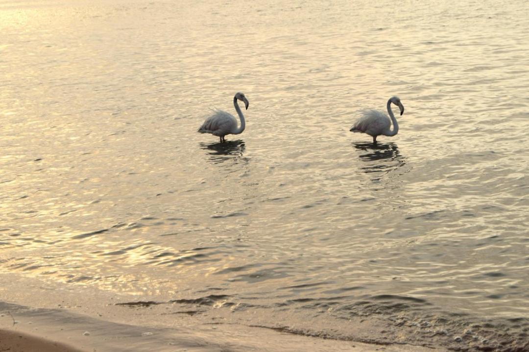 Blue Whale Hotels Walvis Bay Zewnętrze zdjęcie
